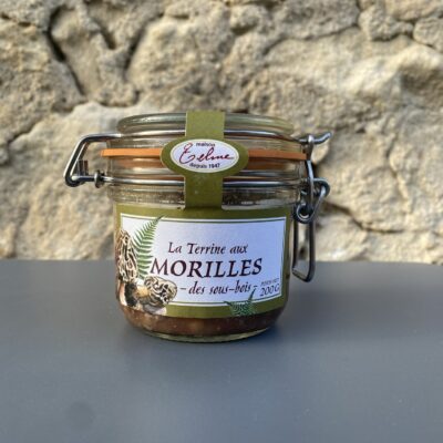 Terrine aux morilles