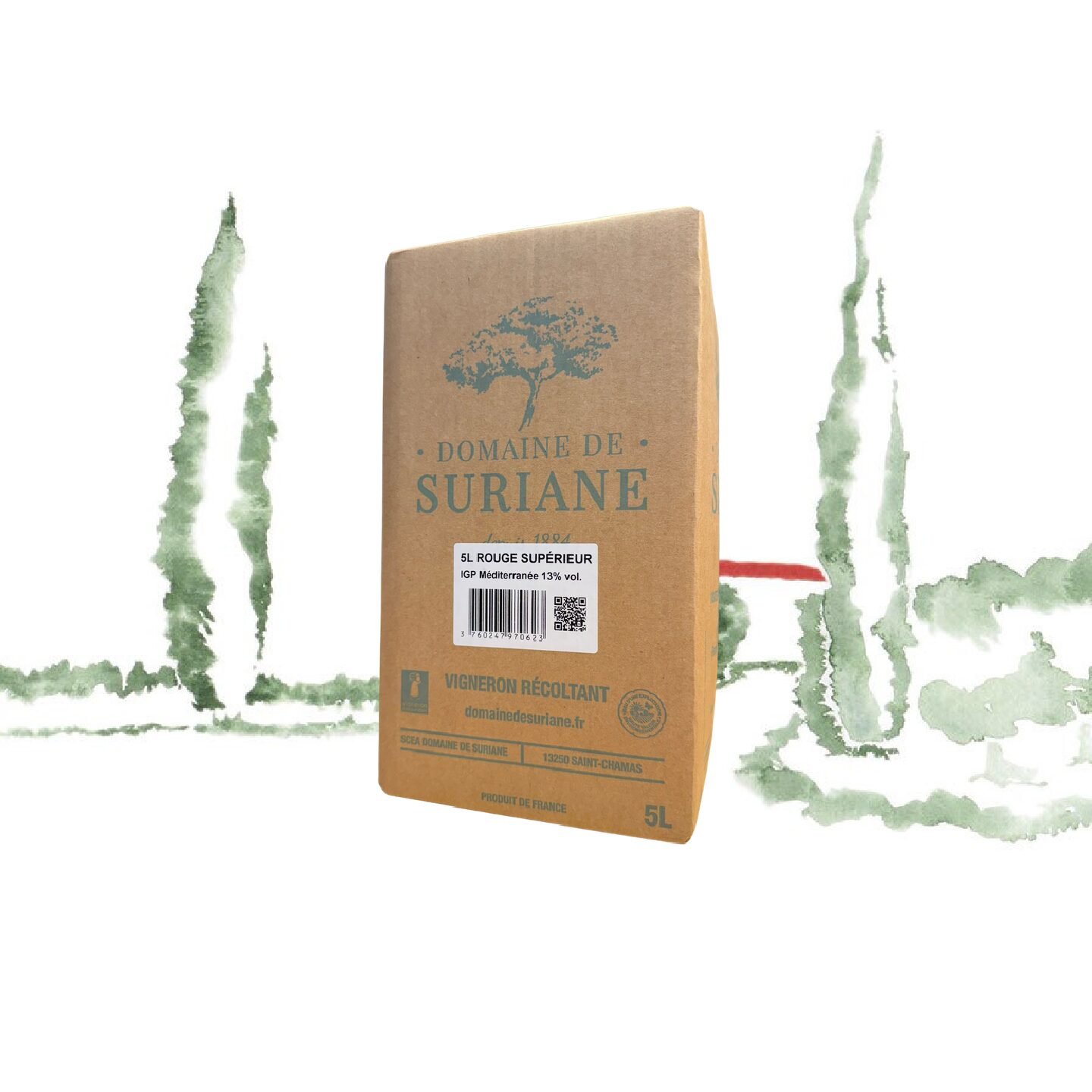 CUBI 5L ROUGE SUPERIEUR IGP Méditerranée